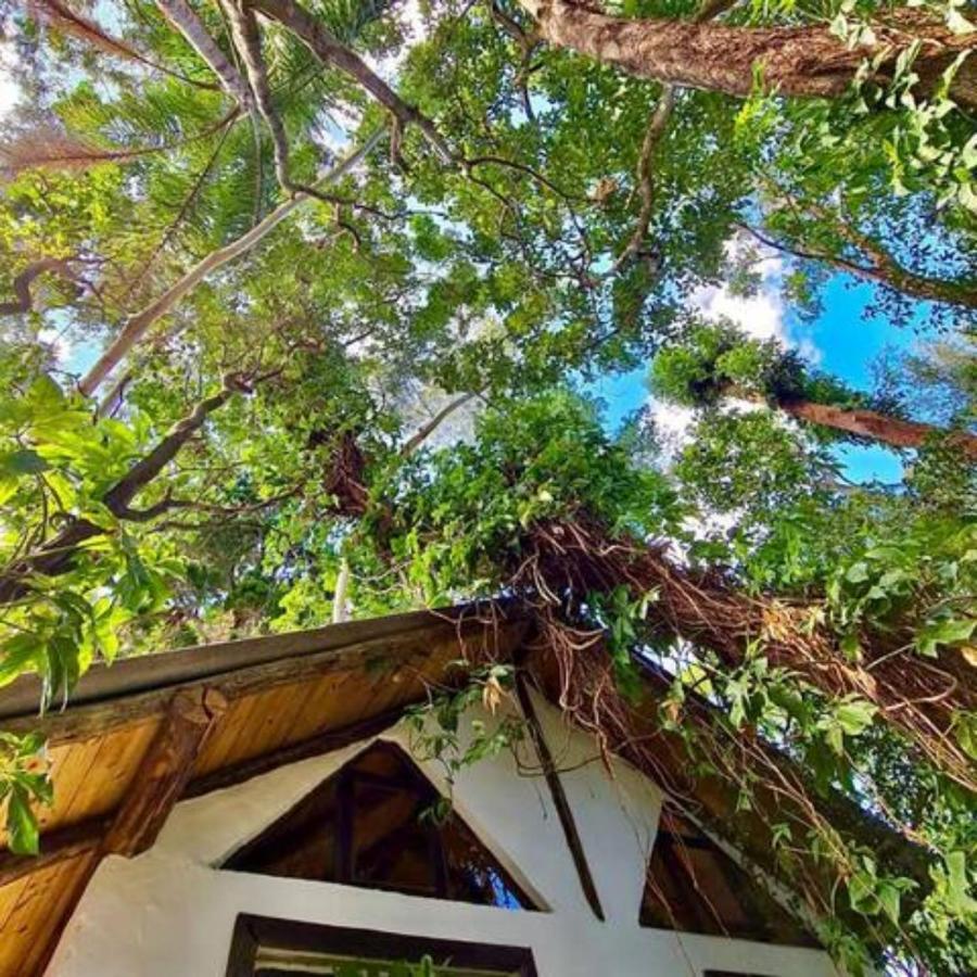 Chale Aloha Villa Florianópolis Kültér fotó